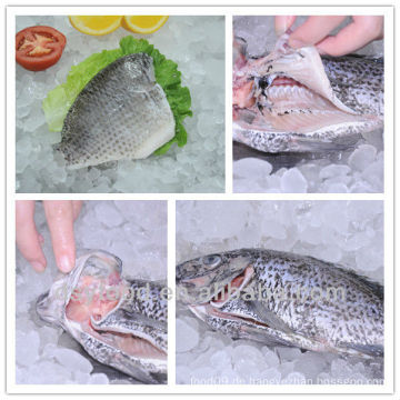 Gefrorene Tilapia Fillets / Tilapia WGGS